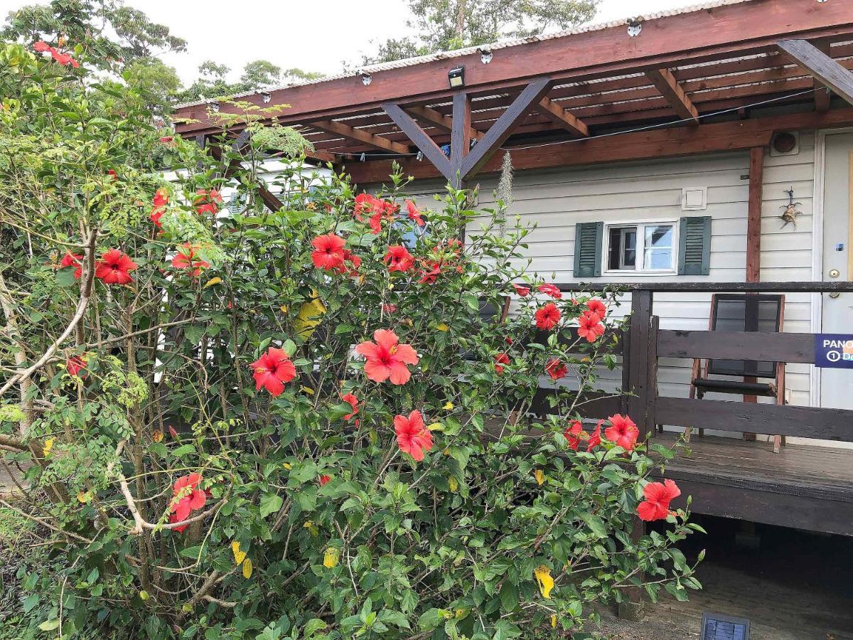 Panorama Ocean View Cottage Motobu Dış mekan fotoğraf