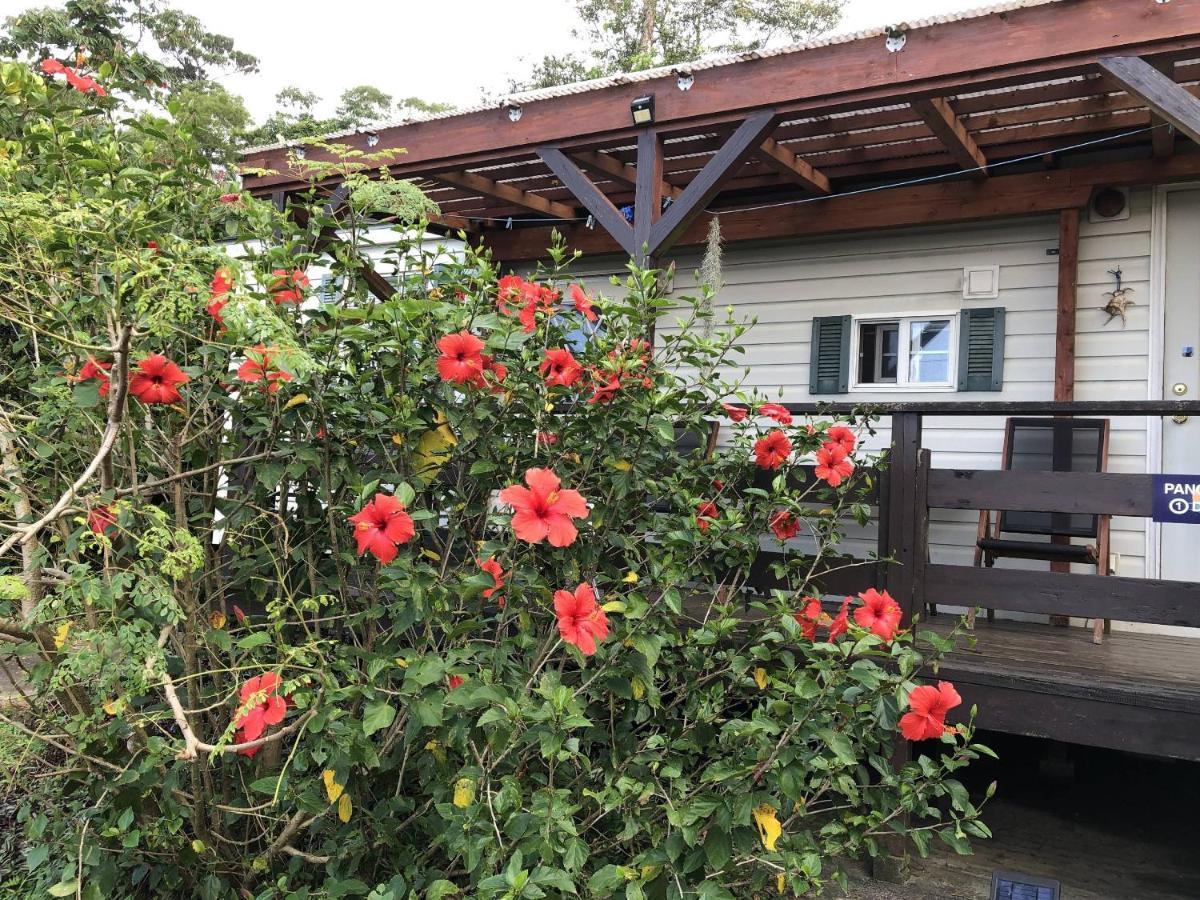 Panorama Ocean View Cottage Motobu Dış mekan fotoğraf
