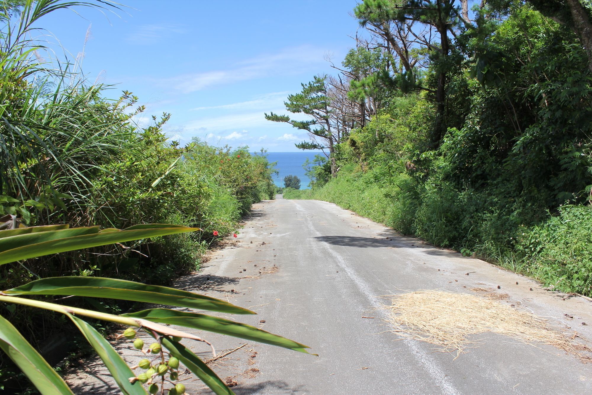 Panorama Ocean View Cottage Motobu Dış mekan fotoğraf